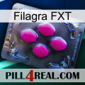 Filagra FXT 02
